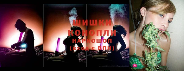 индика Пролетарск