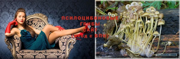 прущие крисы Абаза