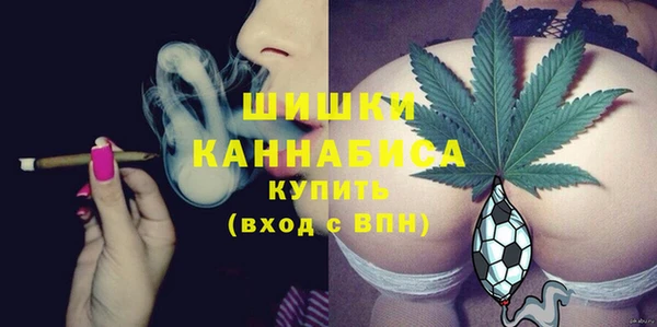 прущие крисы Абаза