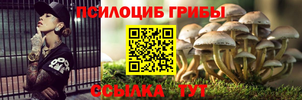 Галлюциногенные грибы Psilocybe  Вход с VPN  Псилоцибиновые грибы мицелий  купить наркоту  Альметьевск 